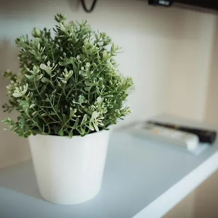 La Terrazza Dei Gemelli - דירה *