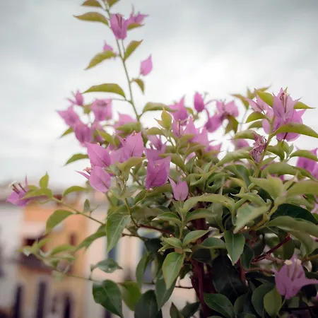 La Terrazza Dei Gemelli - *