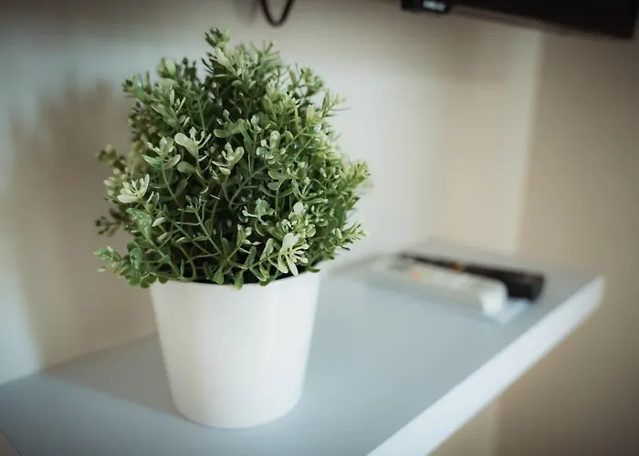 La Terrazza Dei Gemelli - Apartment *